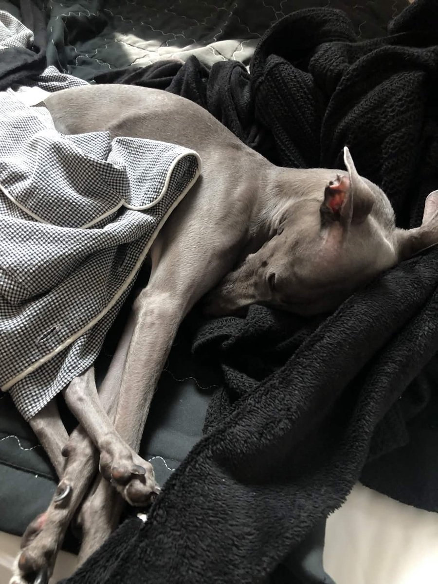 우리파이 tweet media