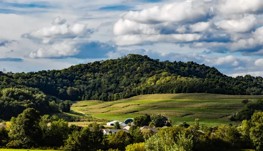 Thisisnottea tweet media