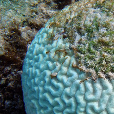 All day Astronomy tweet media