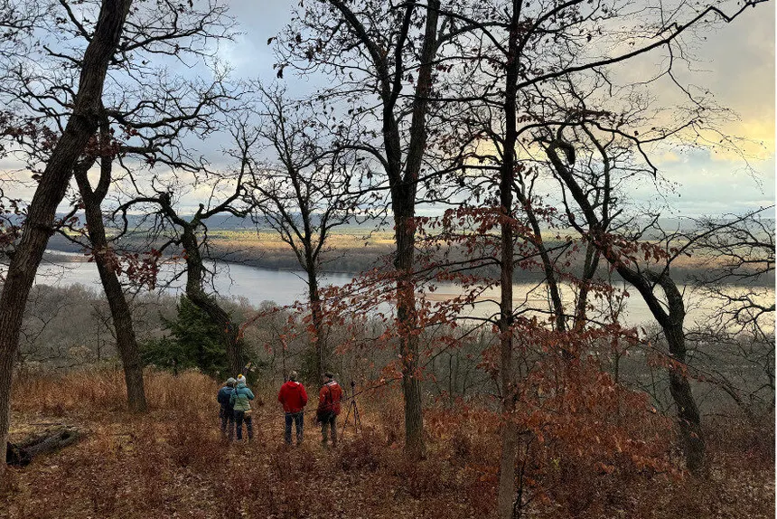 Thisisnottea tweet media