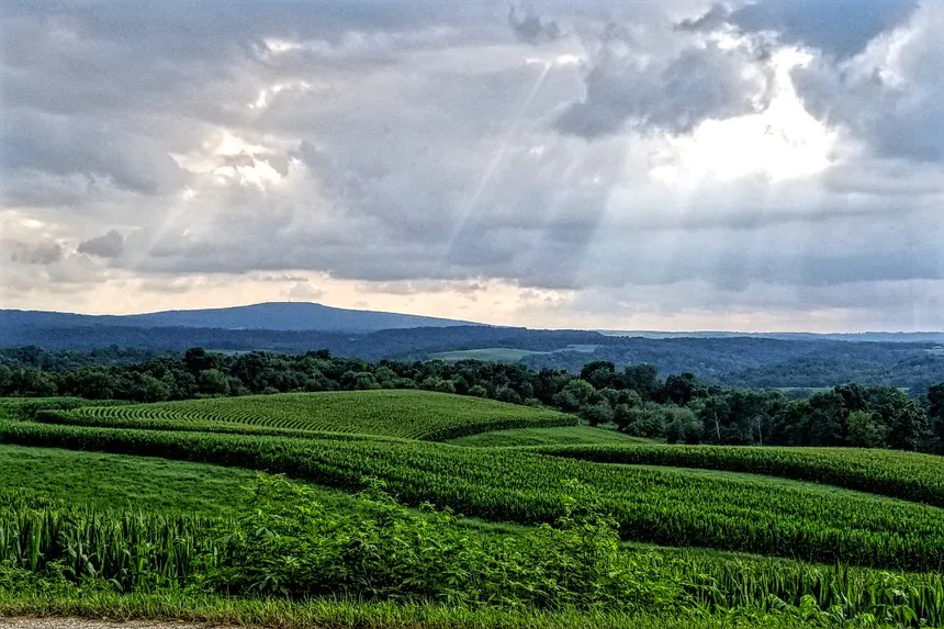 Thisisnottea tweet media