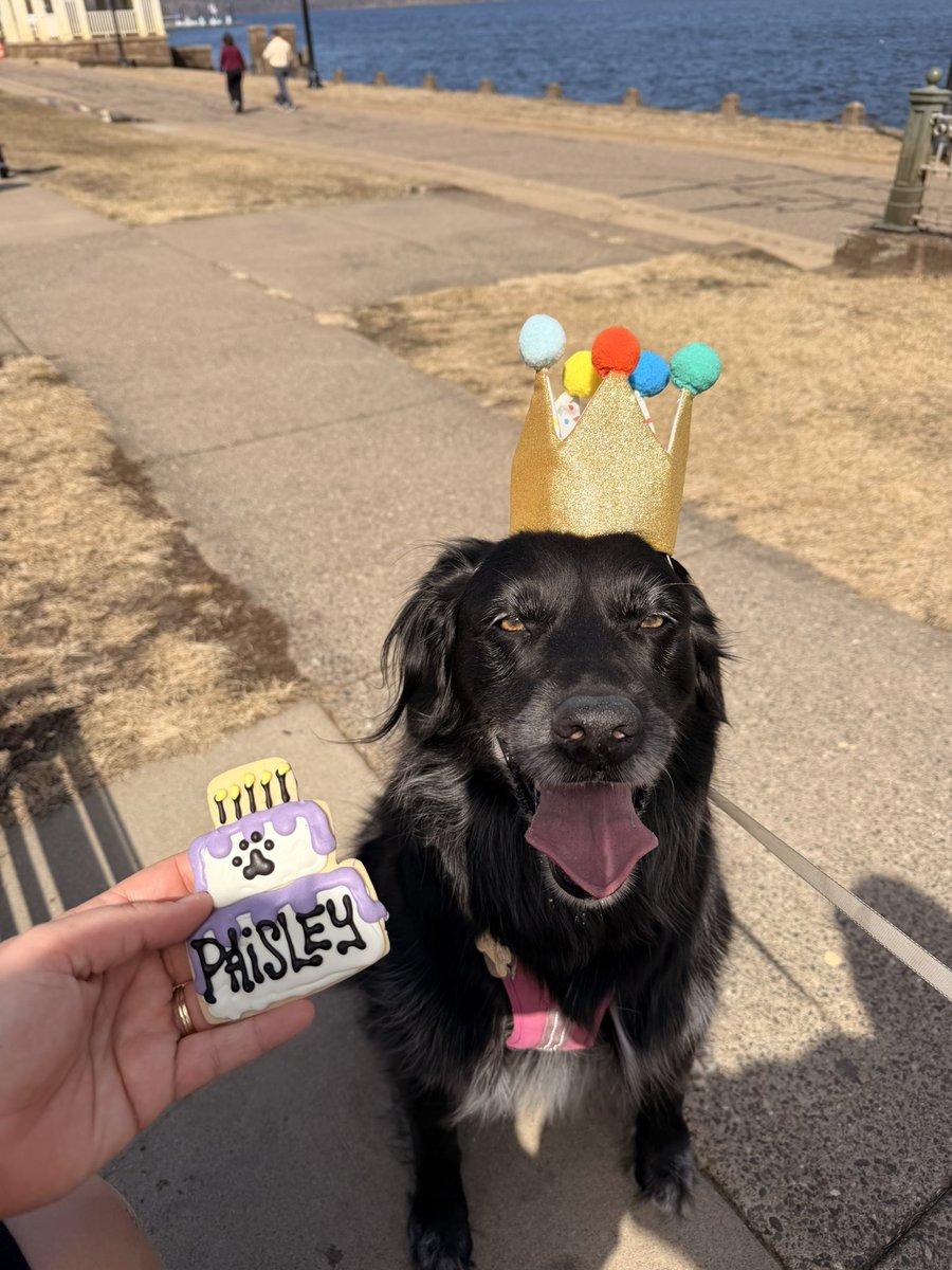 Chris Reece tweet media