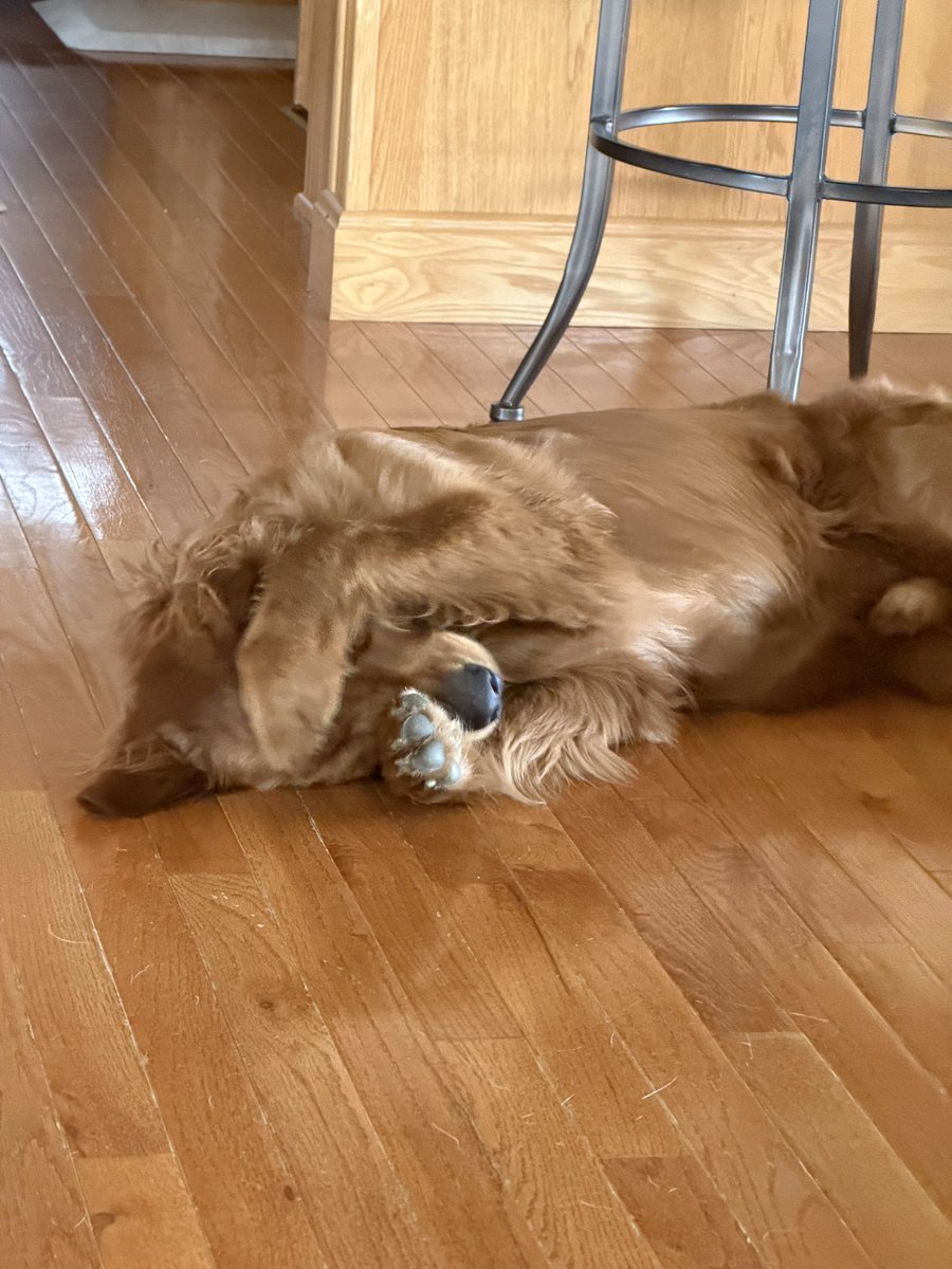 Chris Reece tweet media