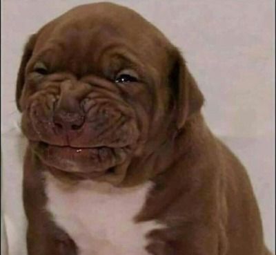 aimy 🐣 | BTS EN ARG tweet media