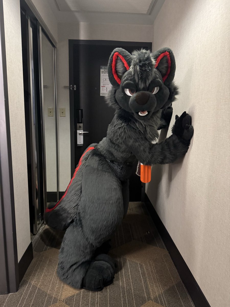 dac 🔜 fwa tweet media