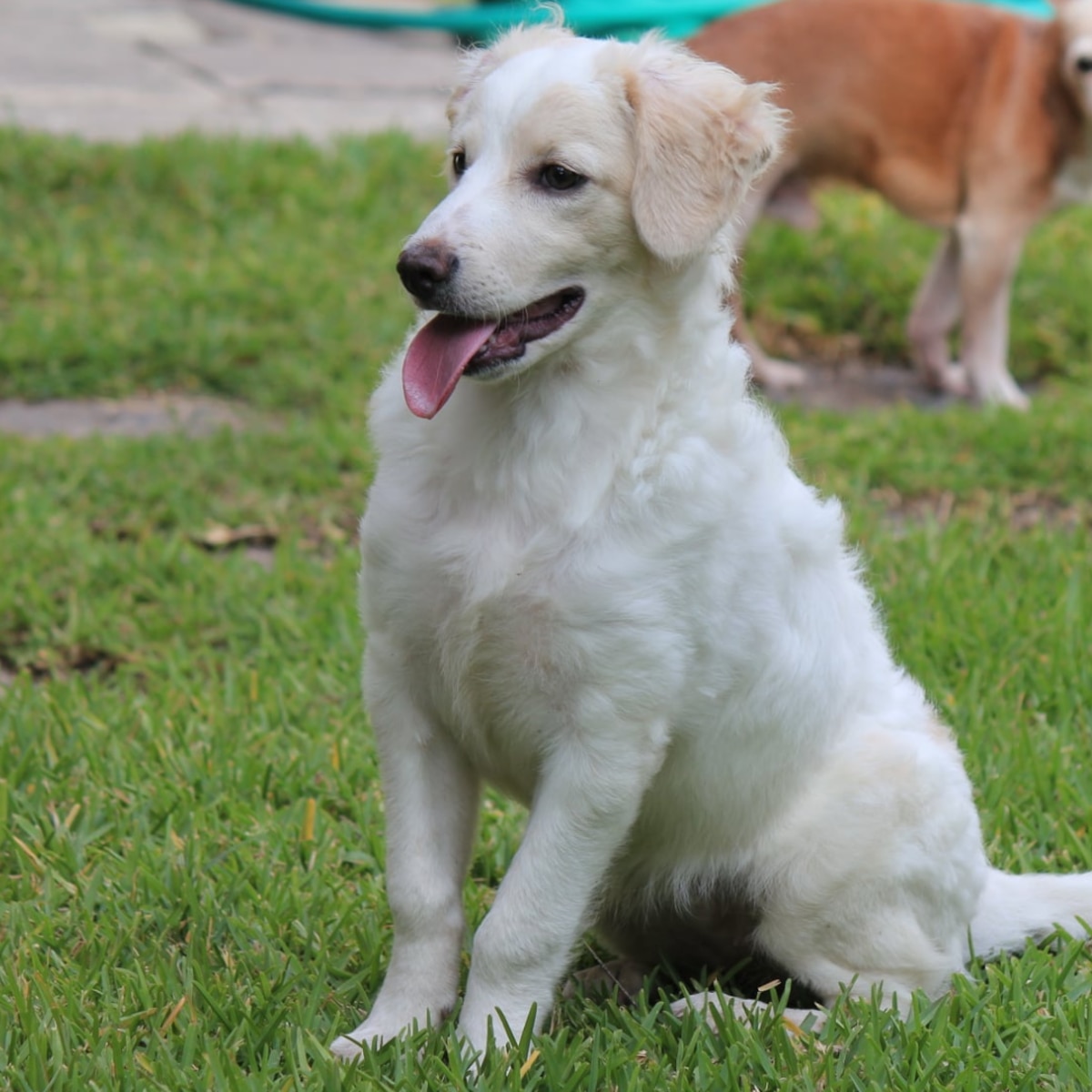 GaTTo_00🇨🇴⚡ tweet media