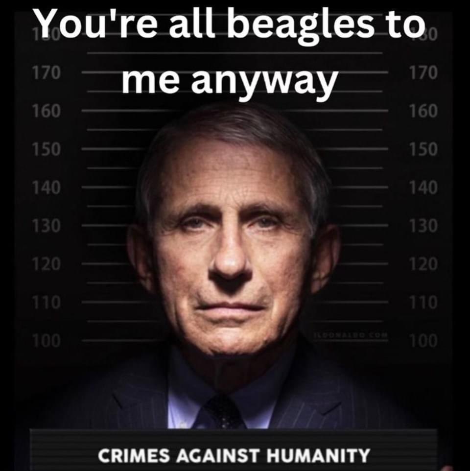 LizzyLou tweet media