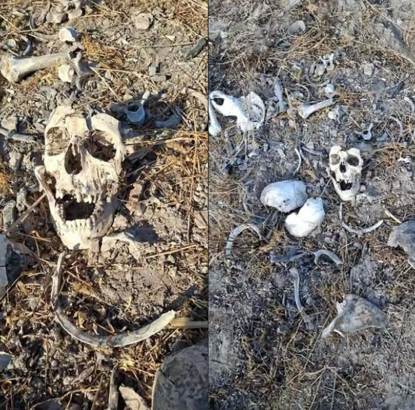 Integrantes del colectivo Amor por los Desaparecidos en Tamaulipas informaron sobre el hallazgo de restos oseos en un terreno baldío ubicado entre las colonias El Olmo y Privada Las Fuentes, a un costado del canal Guillermo Rodhe.