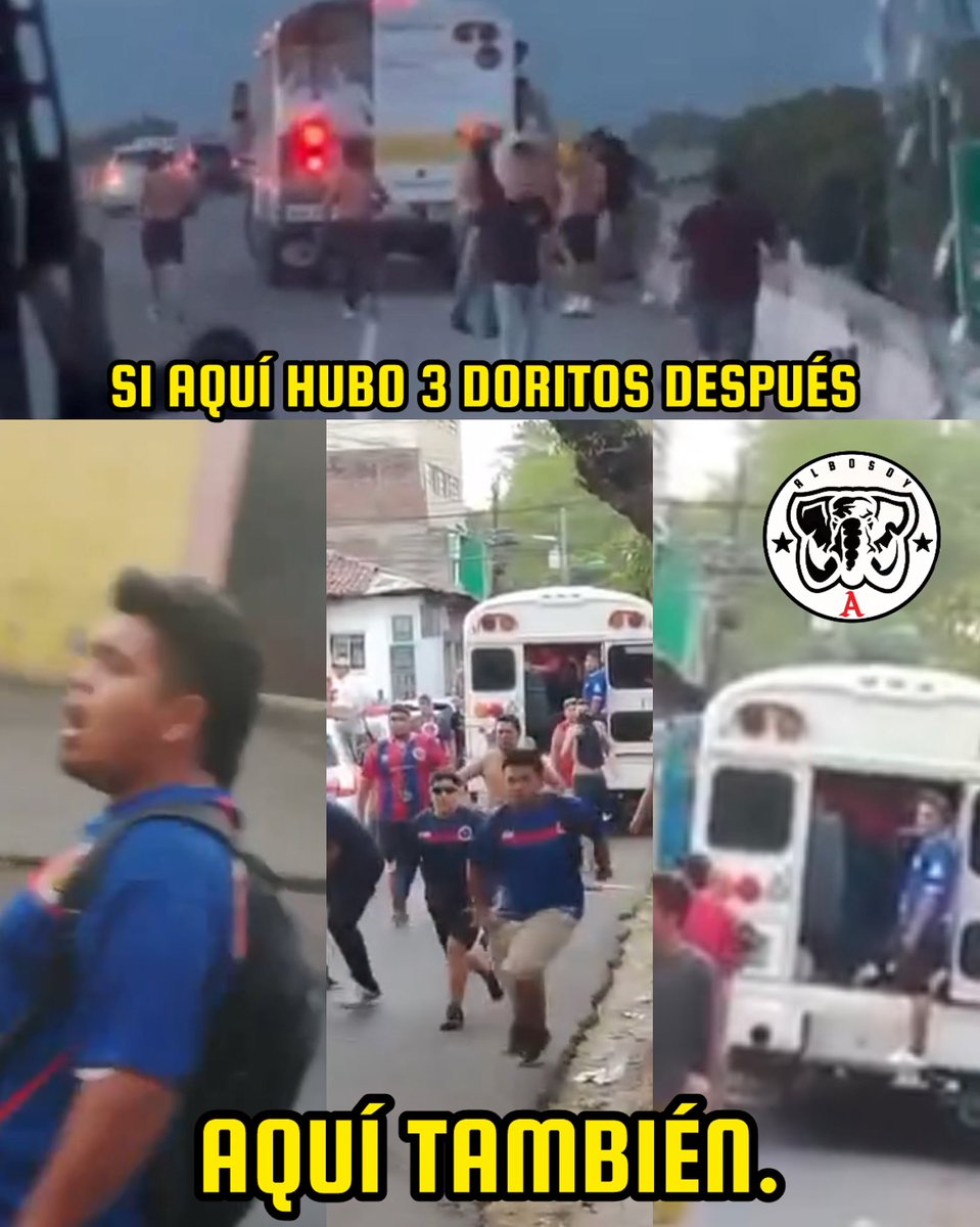 𝑨𝑳𝑩𝑶 𝑺𝑶𝒀 tweet media