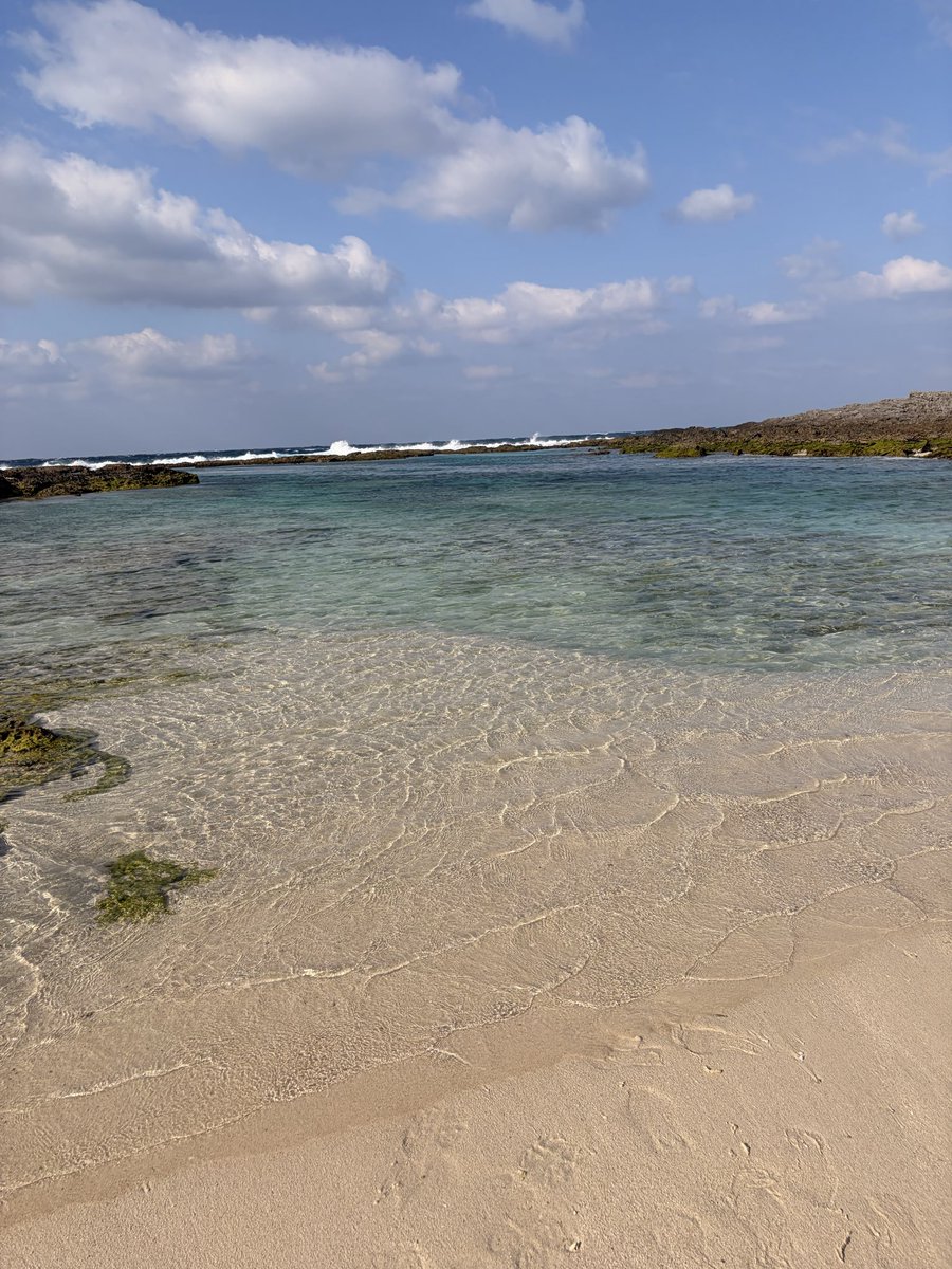 はーたそ tweet media