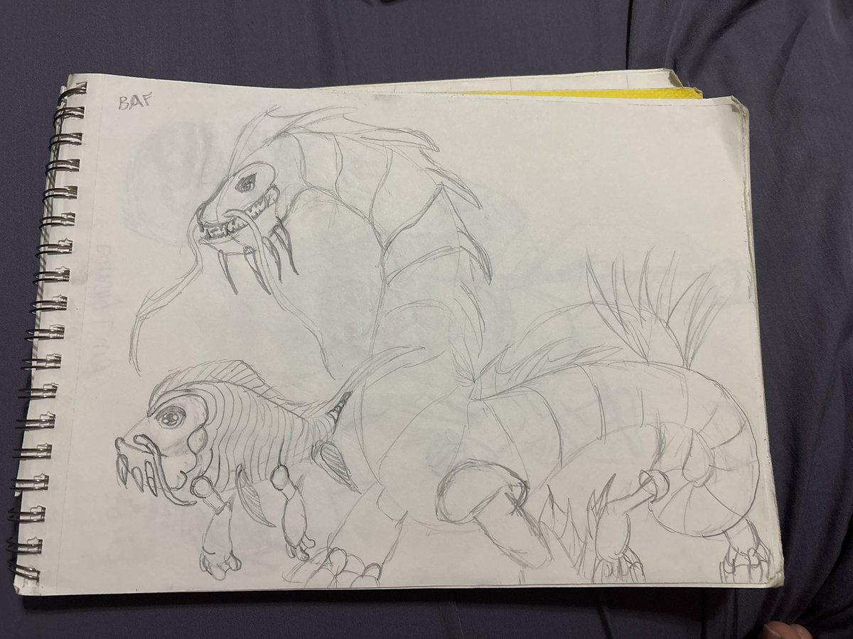 Jester Robin tweet media