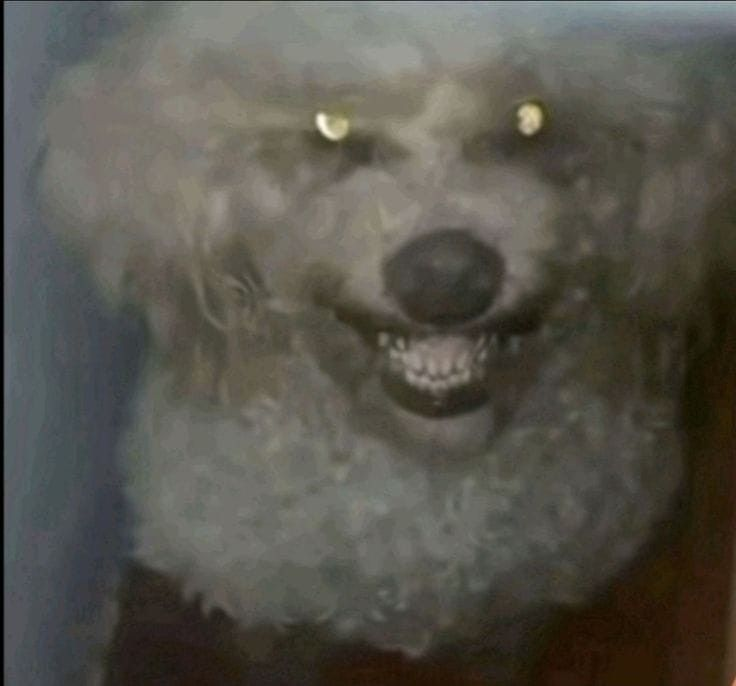 Matchapan 🐴 (COMMISSIONS CLOSED) tweet media