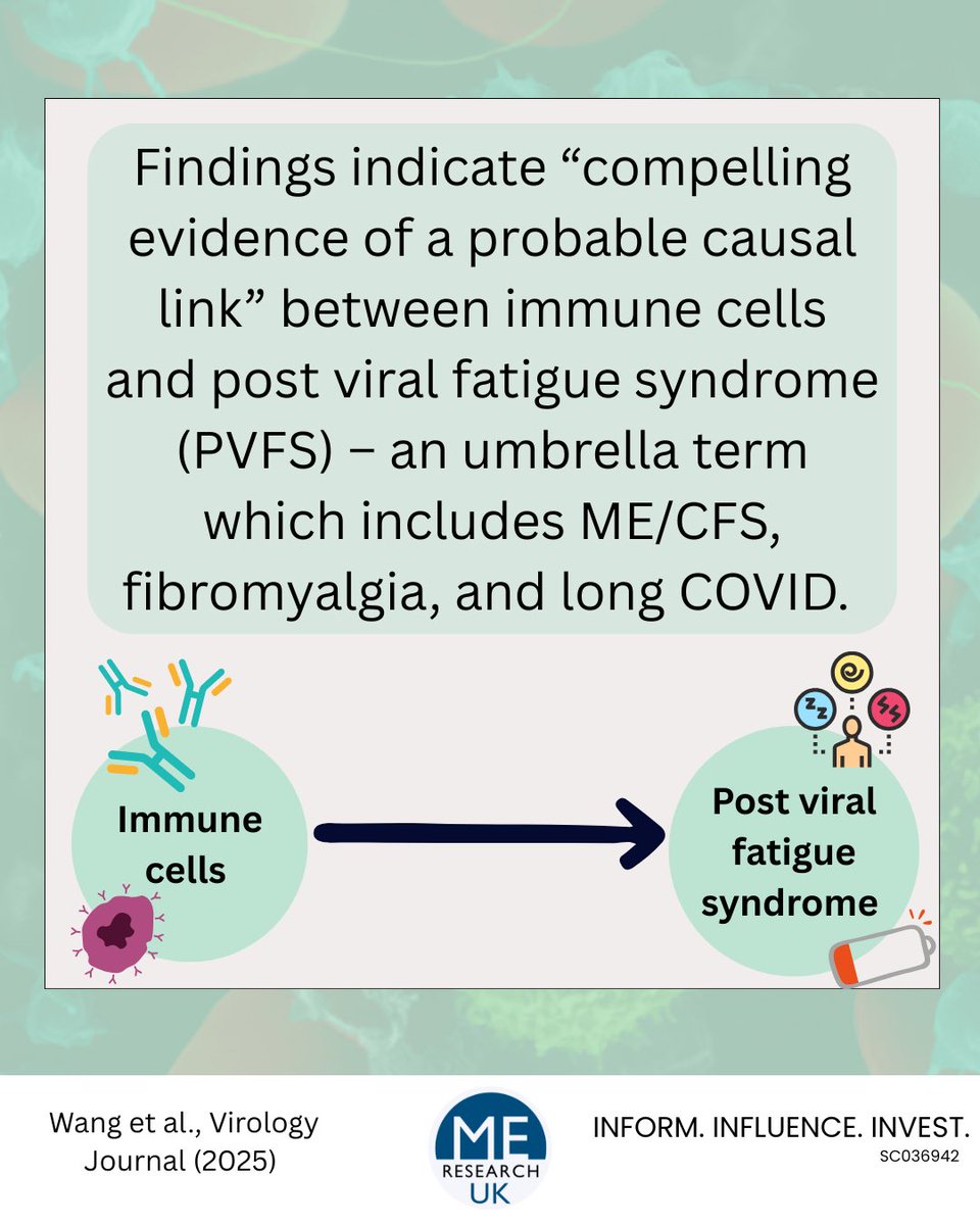 Ayman Alatas tweet media