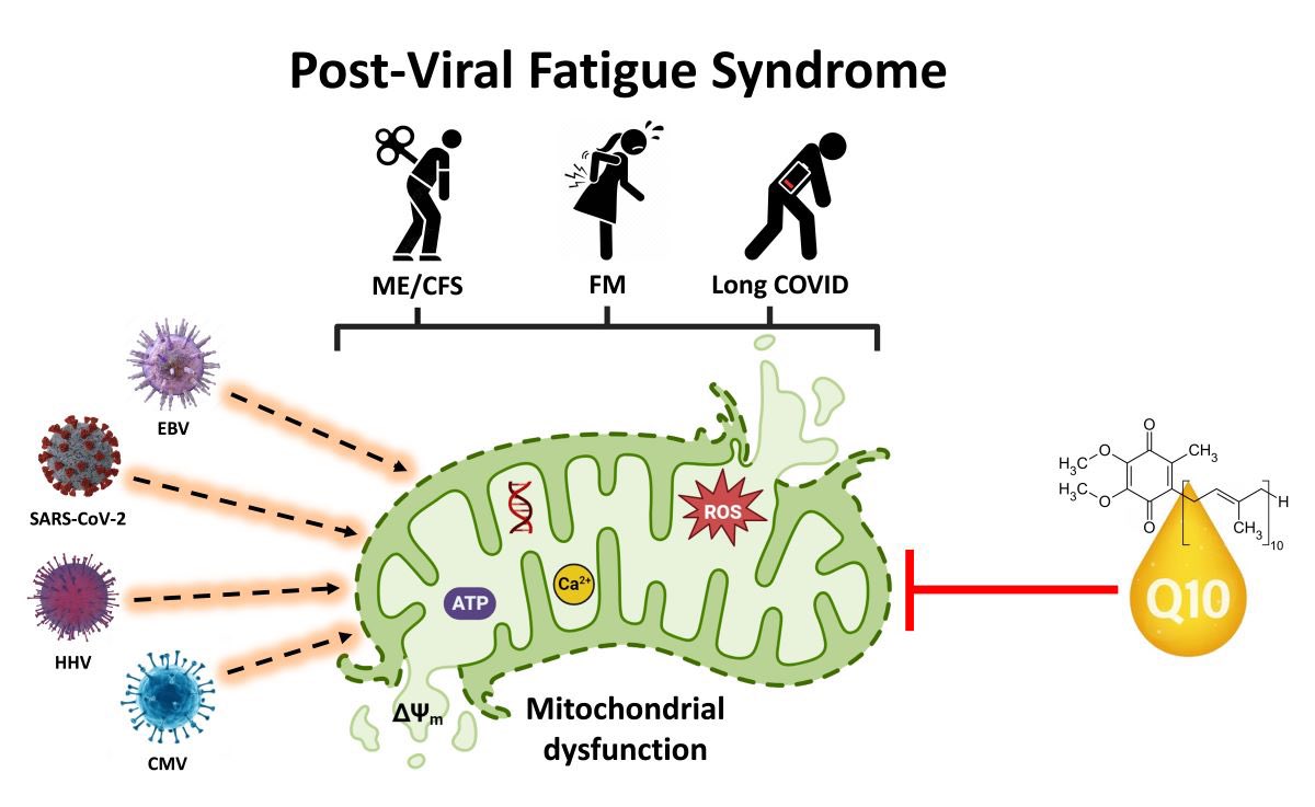 Ayman Alatas tweet media