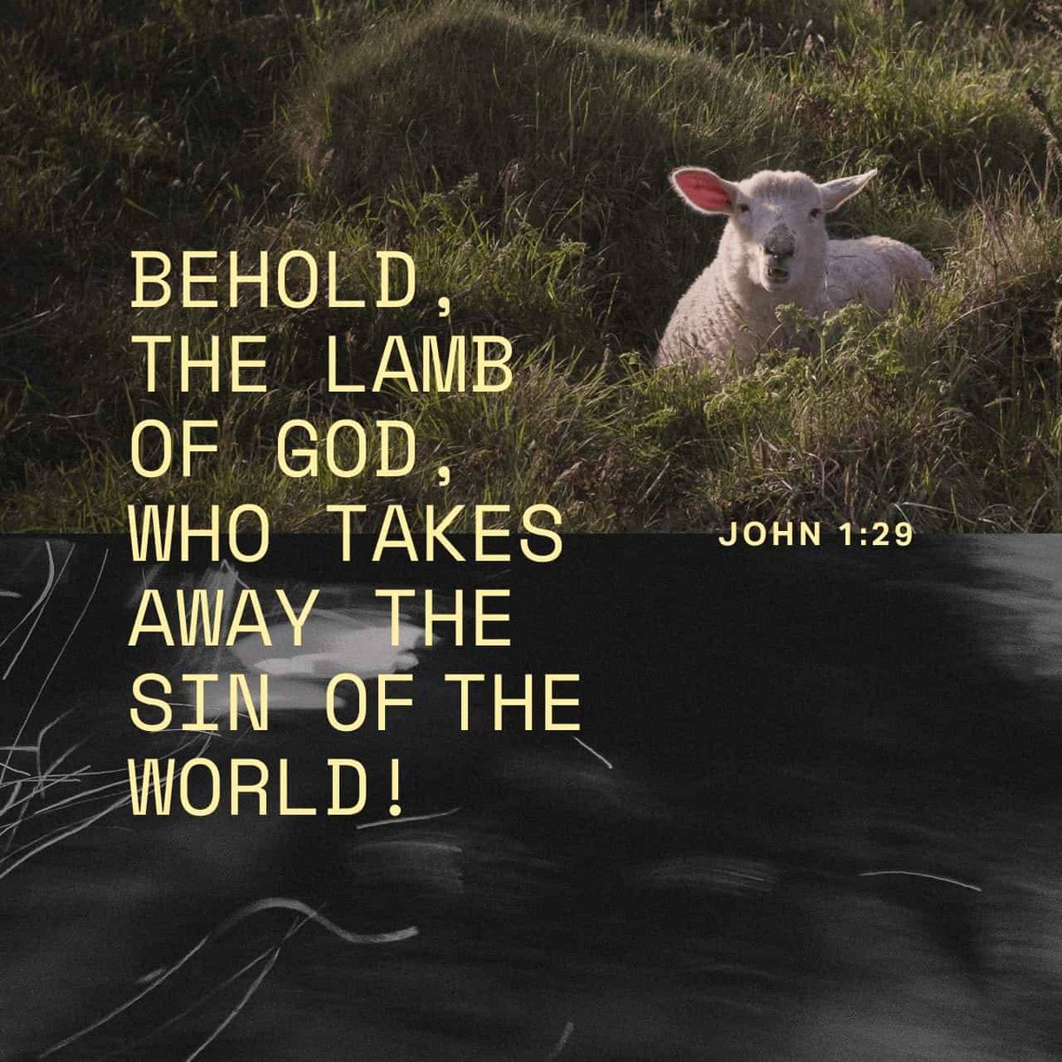 Andrew Wafula tweet media