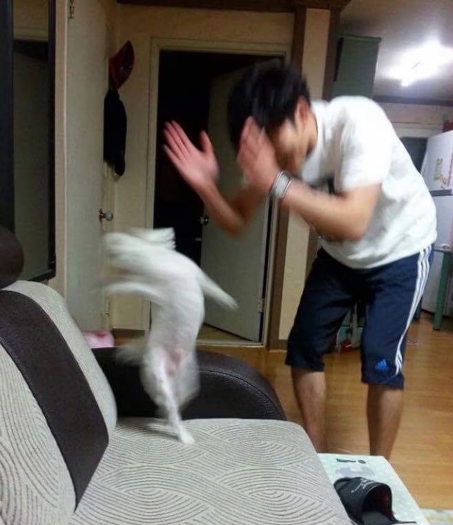 『 𝕵𝒆𝒓𝒐𝒎𝒆 』 tweet media