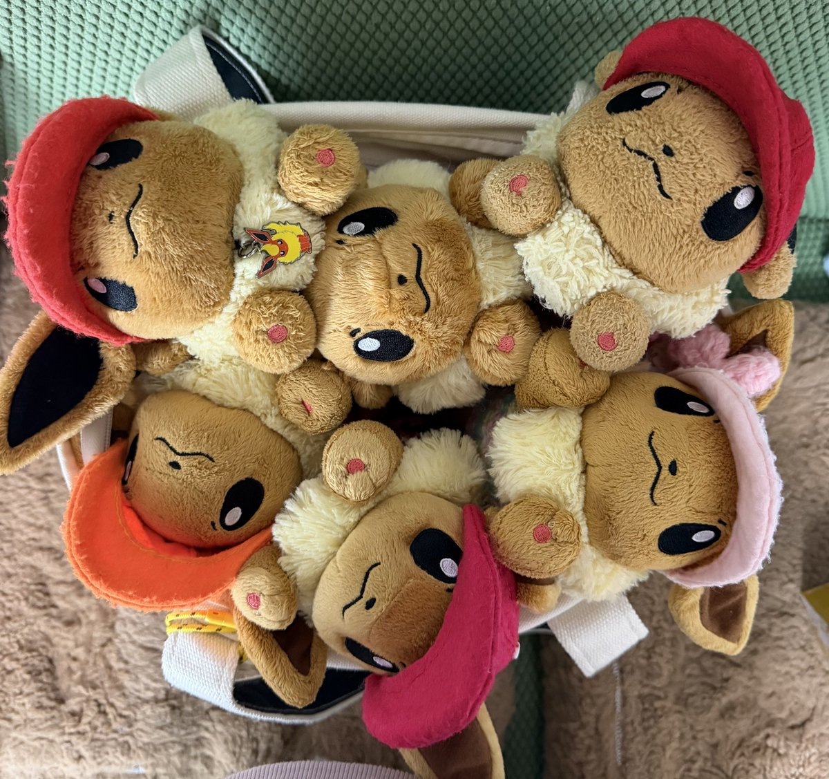 ぶいぶい♡⧫(◕ ˑ̫◕)⧫♡ tweet media