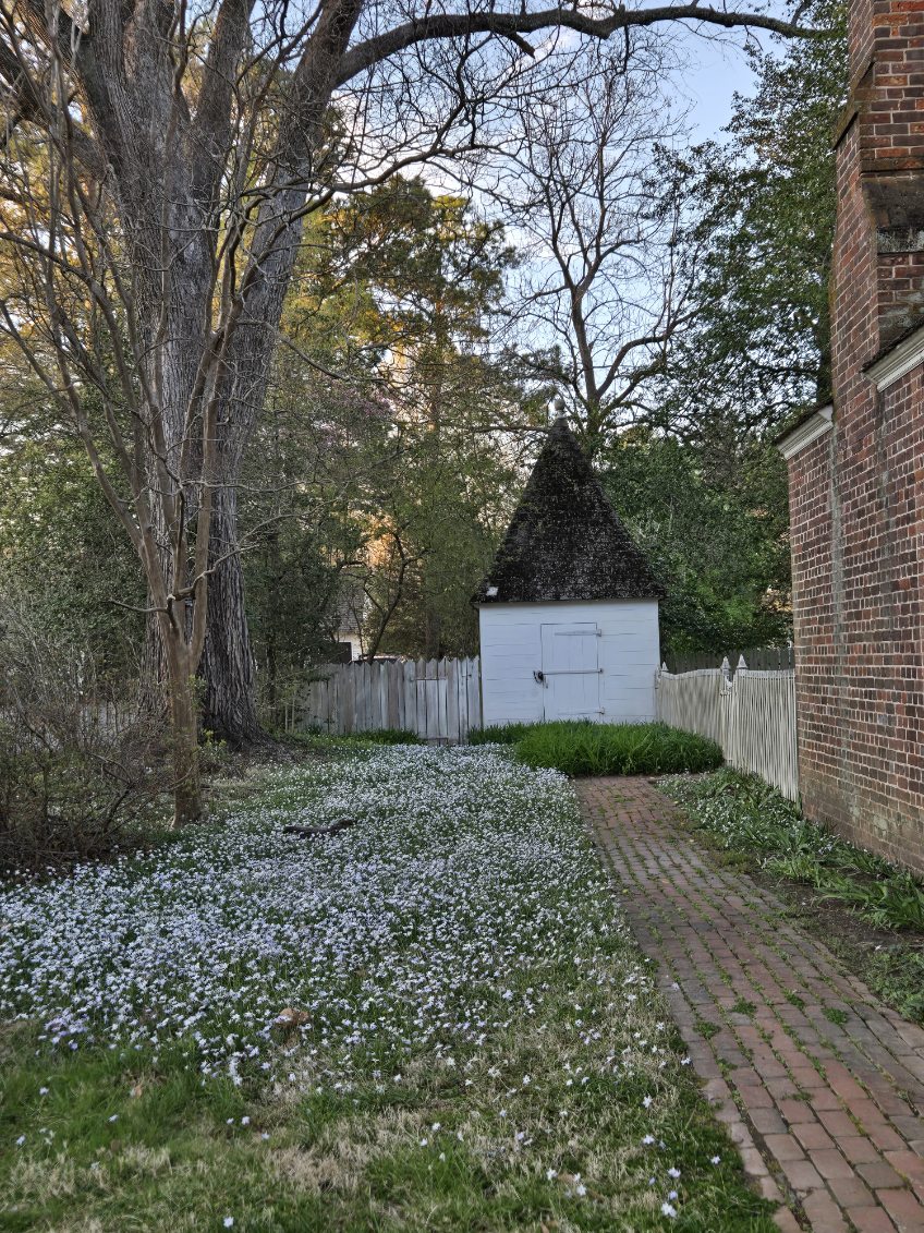 Kerri, beagle wrangler-Tammy🌈 Belle🌈 Buttercup🌈 tweet media