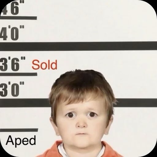 PeteyPawblo tweet media