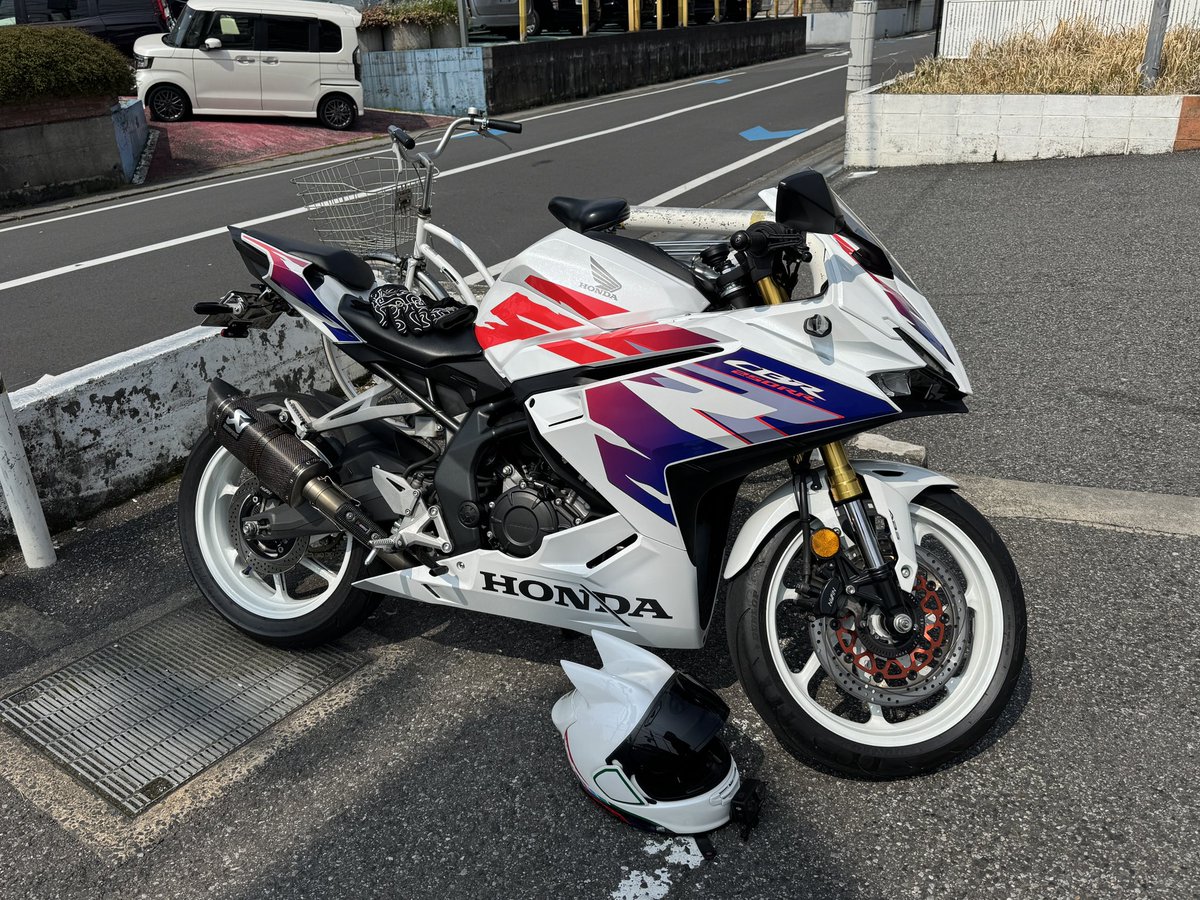 ねこかず tweet media