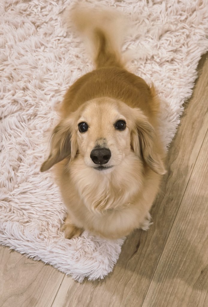 イシウス2 tweet media