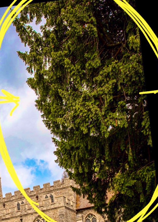 New Reformed Gnosticism tweet media