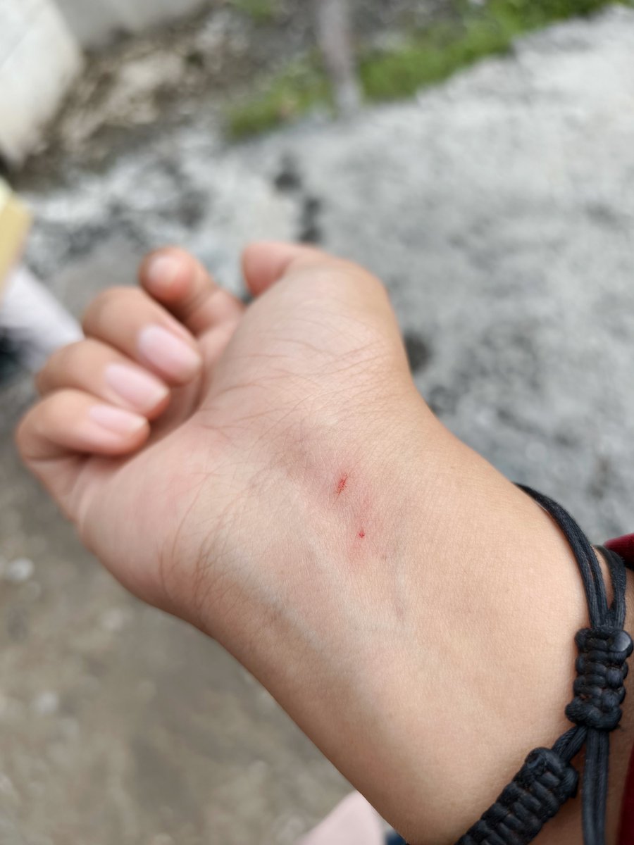 shining 🌟 tweet media