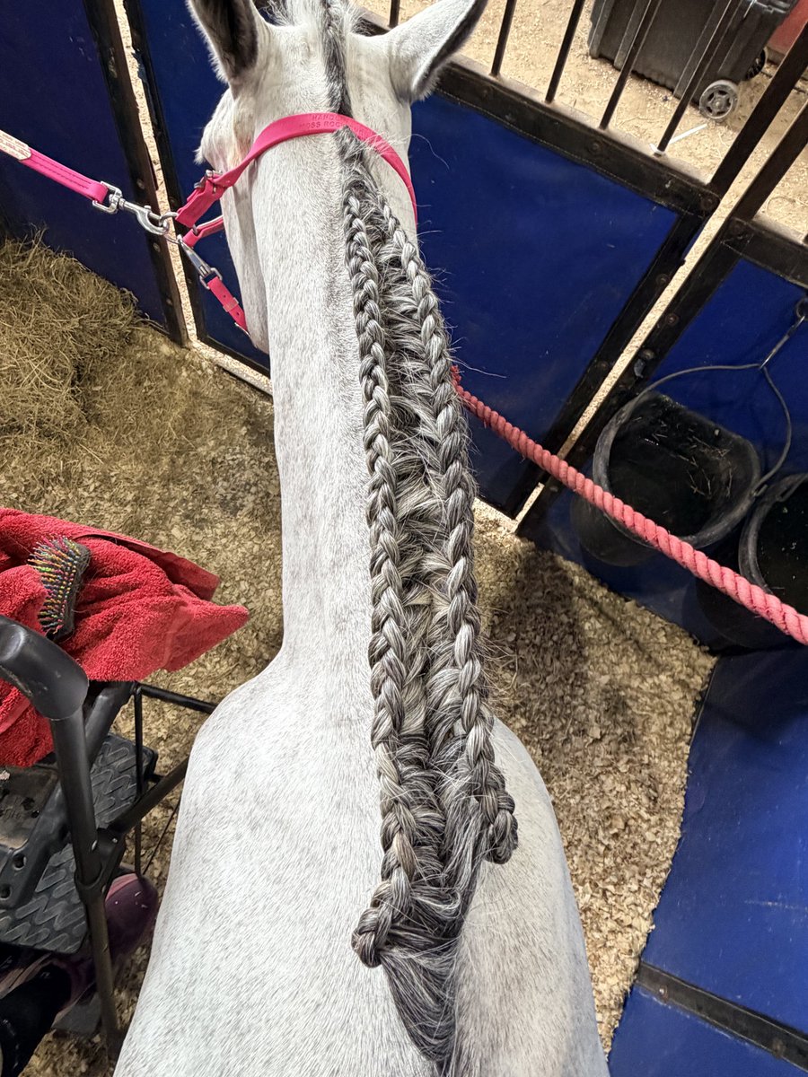 Underworld Arabians tweet media