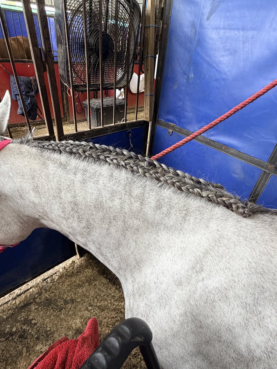 Underworld Arabians tweet media