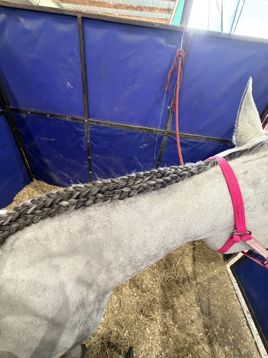 Underworld Arabians tweet media