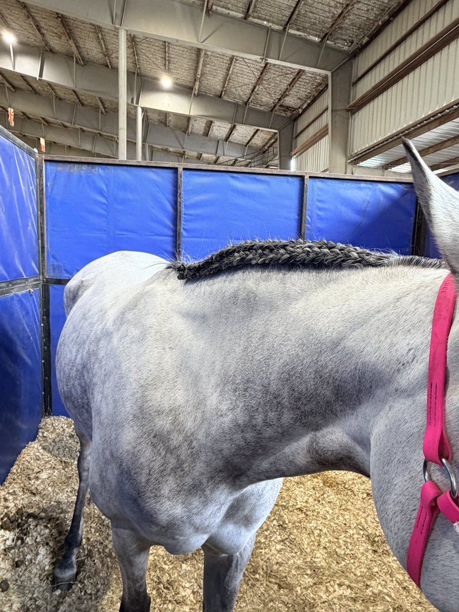 Underworld Arabians tweet media