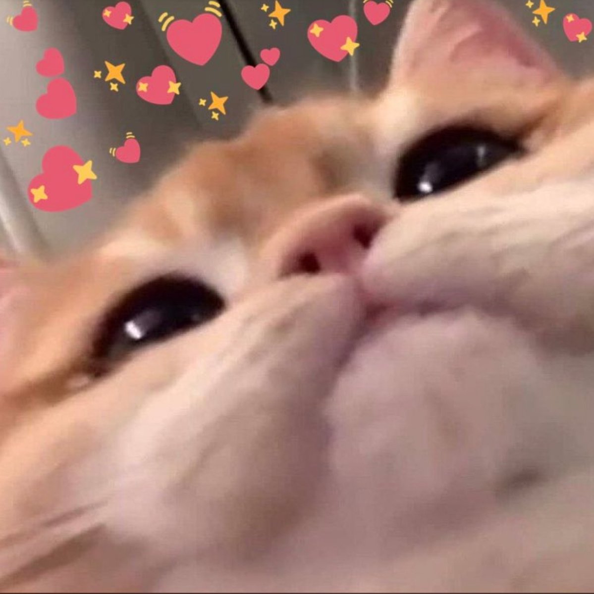 🧂ɛʍɨʟʏ - ȶɦɛ ֆǟʟȶ զʊɛɛռ👑 tweet media