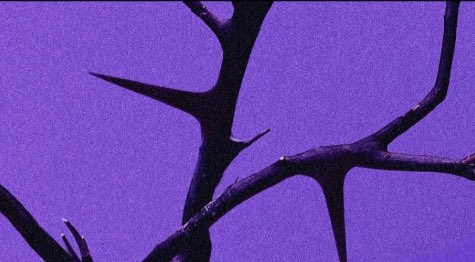 txt aesthetic ⭐️ tweet media