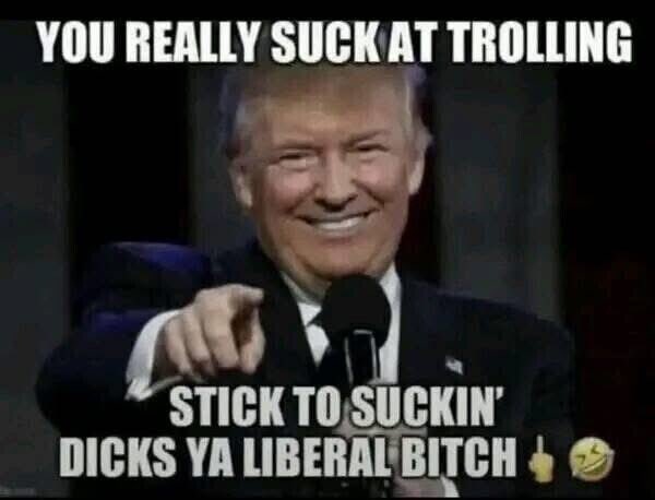 captive dreamer tweet media