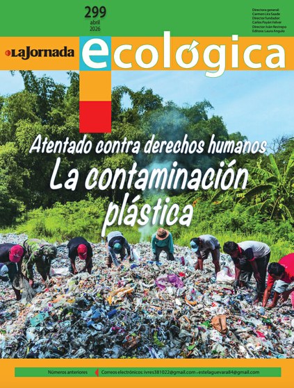 Alain Castruita tweet media