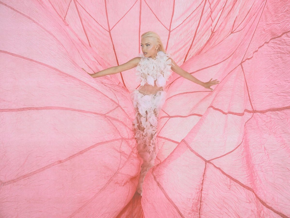 Alice Chater Access tweet media