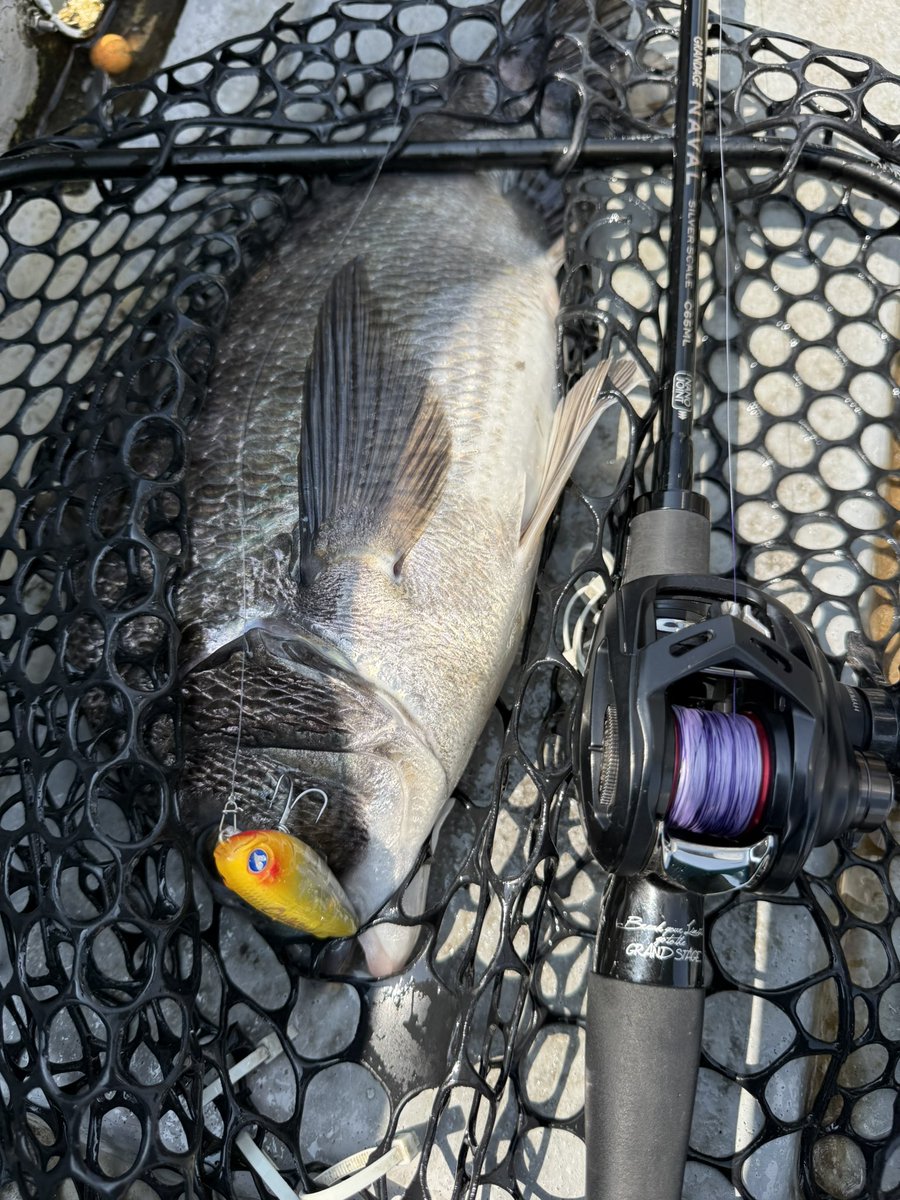 AnglersStaff tweet media