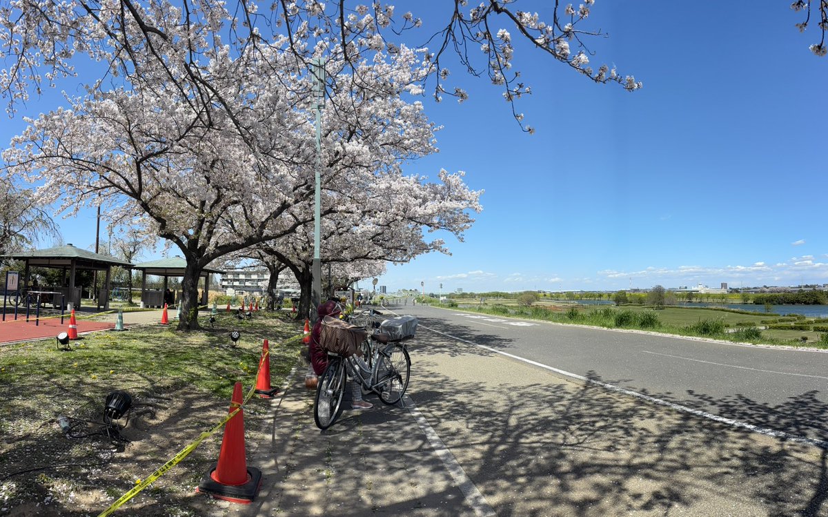 マハオ tweet media