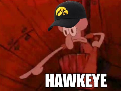 OnIowaGoHawkeyes tweet media