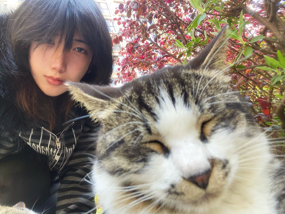 cha07000's tweet photo. 如果世界是小貓形狀的=ᗜωᗜ= #猫 #mtf #自撮り https://t.co/FrJyXYdU0T
