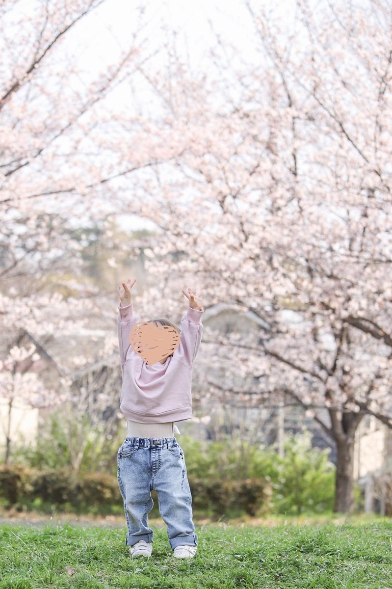 kapimama1012's tweet photo. そして毎年お願いしている桜の個別撮影🌸素敵な公園を教えてもらえて朝から走る走る(笑)取り急ぎでと数時間後に送ってもらえた2枚が素敵な写真すぎる😭 https://t.co/eg5cC85w8s