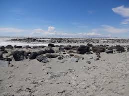 Whereisarts's tweet photo. Spiral Jetty is not just an object; it is a collaborative performance between the artist and nature. It reminds us that all human creation is subject to the forces of time and decay. A silent, powerful force in the American West. Have you made the pilgrimage? https://t.co/sOu9unInNI