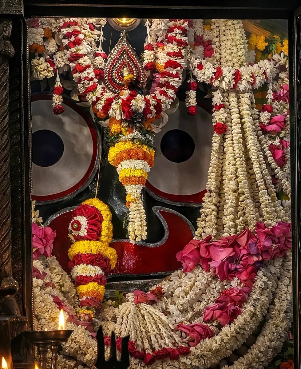 Prachee Nanda OSPS (।)🌵 tweet media