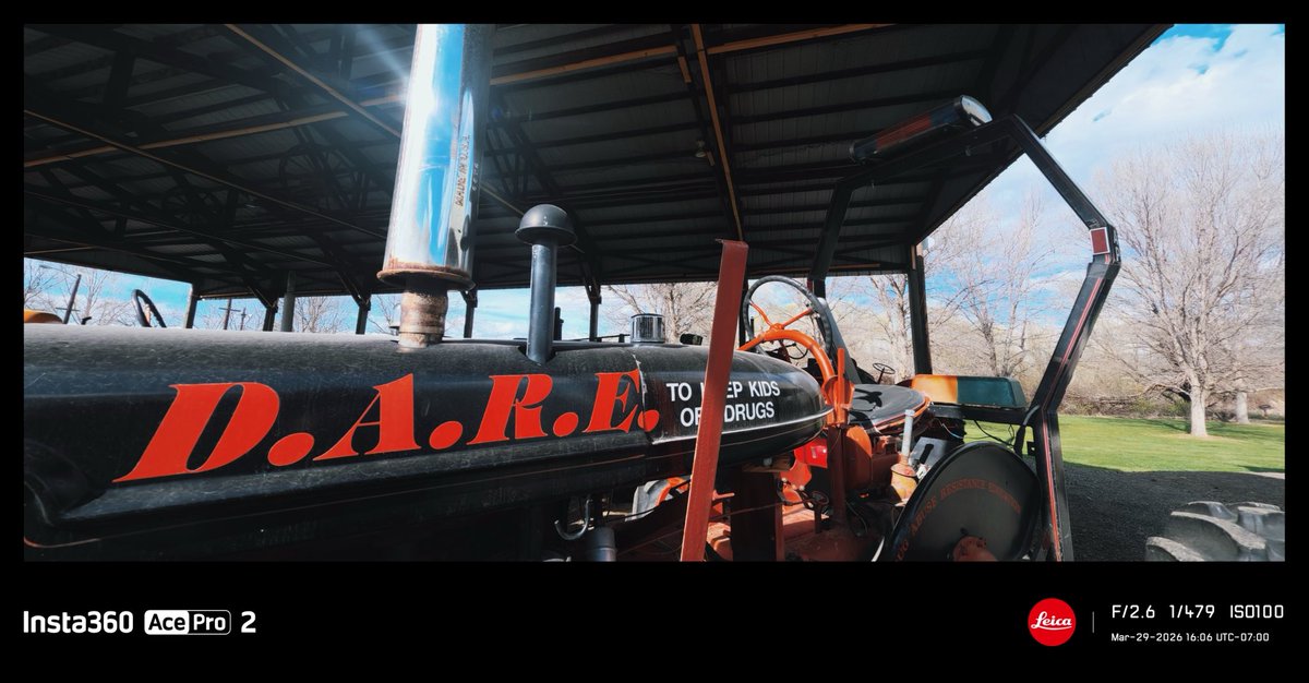 is 〜*:・ﾟ🔻🇵🇸 tweet media