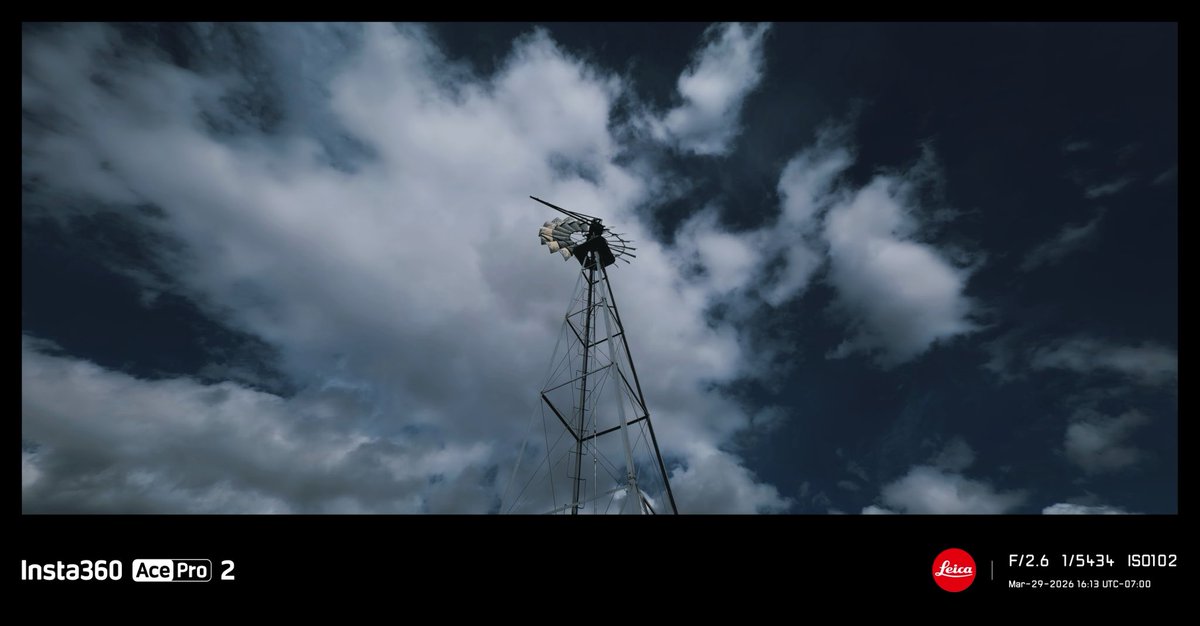 is 〜*:・ﾟ🔻🇵🇸 tweet media