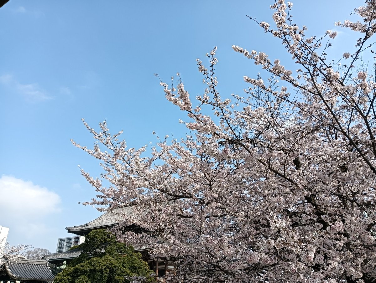 ゆーすけ tweet media