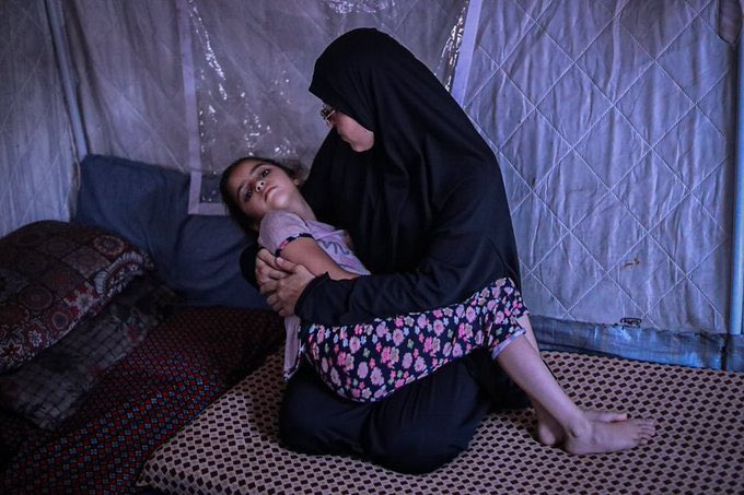 TekDinİslamdir tweet media