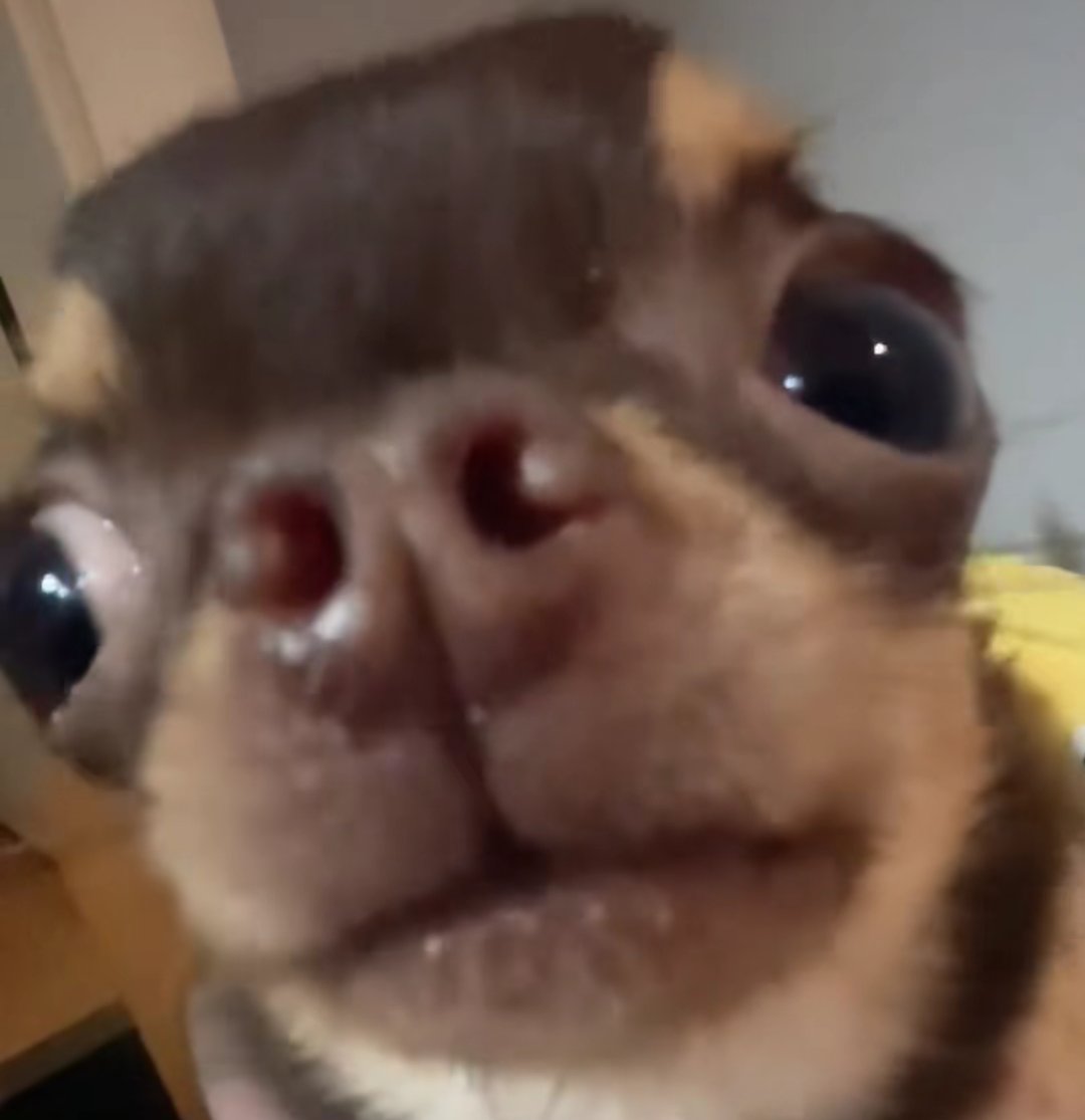 𝓢𝐢𝐥𝐯𝐞𝐫 𝕼𝗨𝗘𝗘𝗡 .ᐟ.ᐟ tweet media