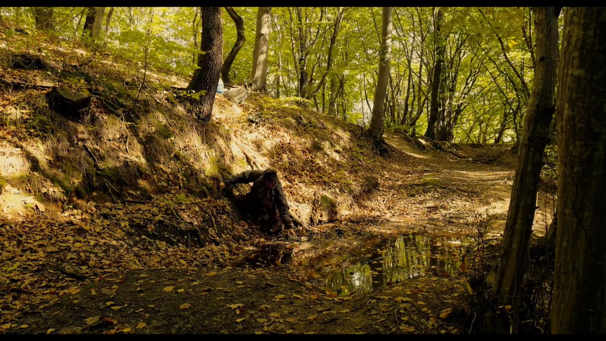 JosephineDocma's tweet photo. Kontinental '25 (2025)
Dir. Radu Jude
DP. Marius Panduru https://t.co/yK2NTZG2ig
