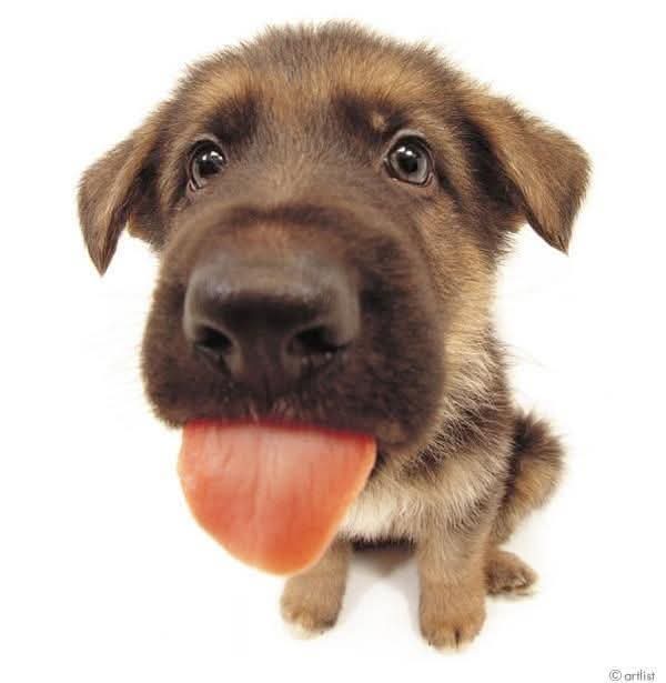 Ivan Perez tweet media